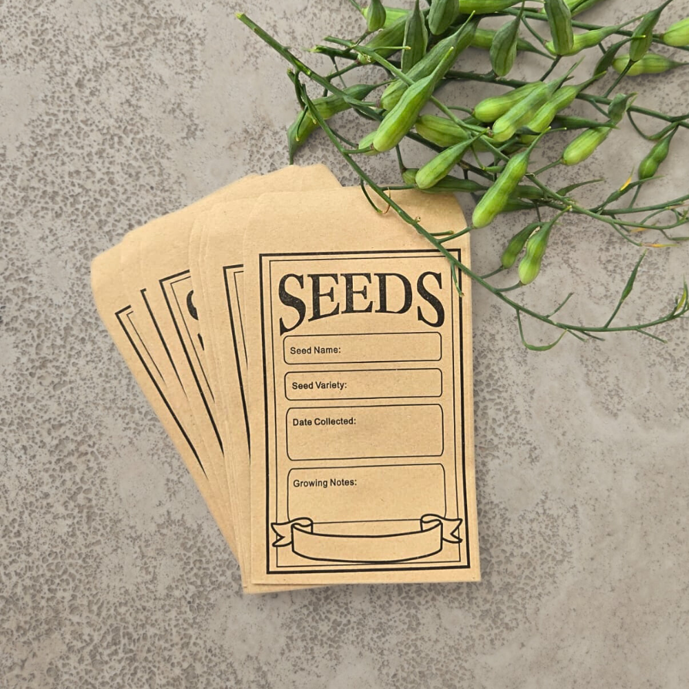 MARTHA’S VINEYARD Kraft Paper Seed Envelopes – 10 pack – Botanex