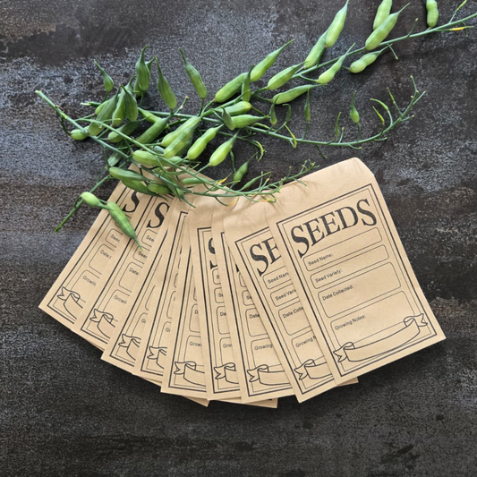 MARTHA’S VINEYARD Kraft Paper Seed Envelopes – 10 pack