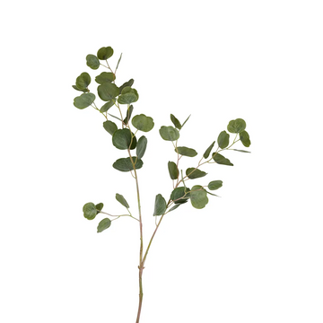 Martha's Vineyard Eucalyptus Soft Touch Spray 1m Green