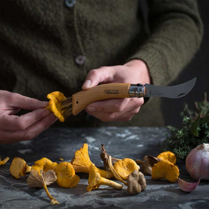 OPINEL N°08 Mushroom Knife S/S - Beechwood