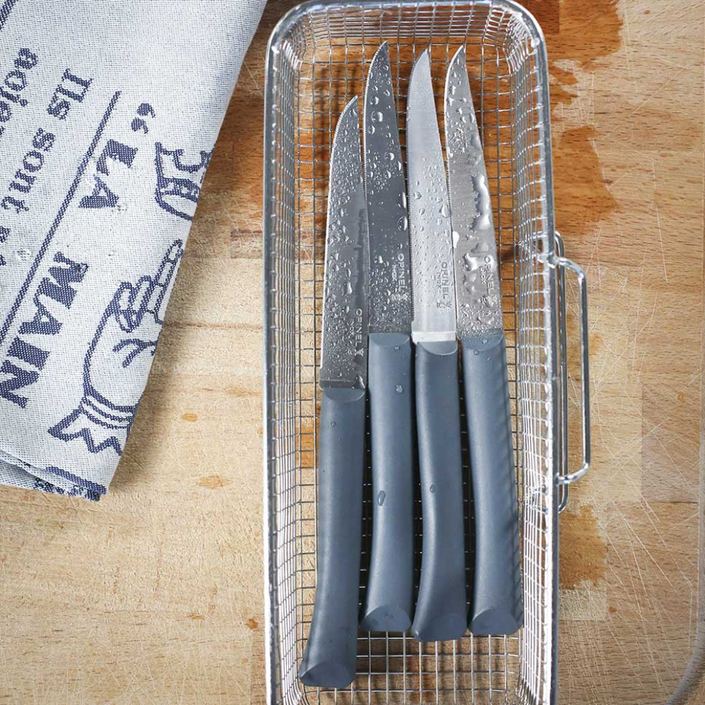OPINEL N°125 Bon Appetit Table Knife Set of 4 - Grey