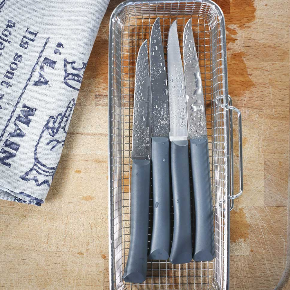 Load image into Gallery viewer, OPINEL N?125 Bon Appetit Table Knife Set of 4 - Grey