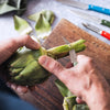 OPINEL N114 Les Essentiels Vegetable Knife