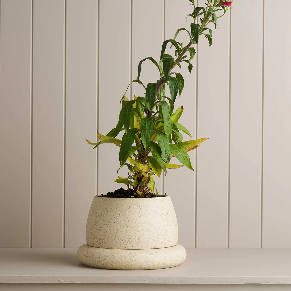 Load image into Gallery viewer, ROBERT GORDON Cloud Planter White Speckle - Large