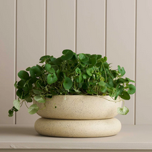Load image into Gallery viewer, ROBERT GORDON Cloud Planter White Speckle - Wide