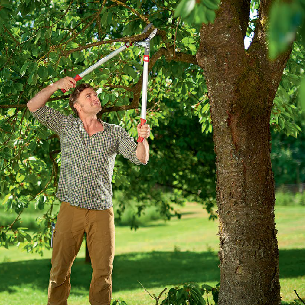 Load image into Gallery viewer, WOLF GARTEN POWER Cut Anvil Tree Lopper - 650mm