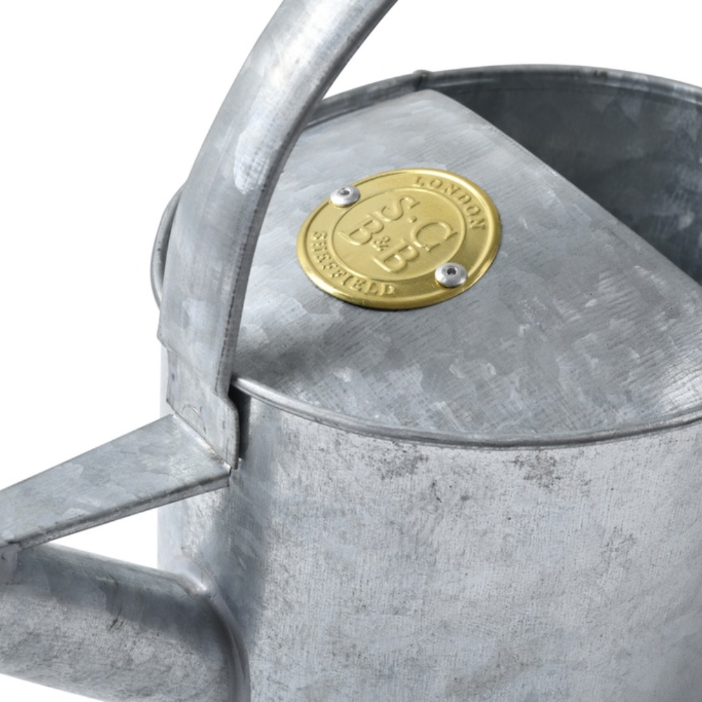 Load image into Gallery viewer, SOPHIE CONRAN Galvanised Indoor Watering Can - 1.7L