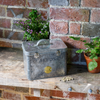 SOPHIE CONRAN Galvanised Seed Organiser