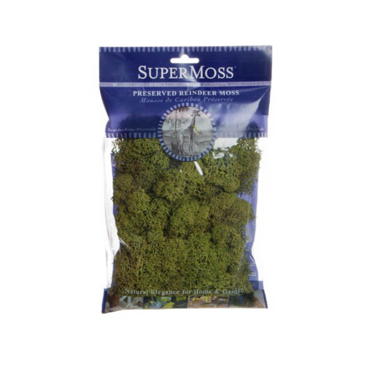 SUPERMOSS Reindeer Moss Preserved 55g Bag - Dark Green