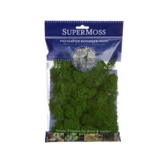 SUPERMOSS Reindeer Moss Preserved 55g Bag - Forest Green