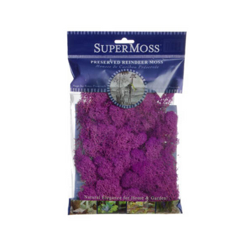 SUPERMOSS Reindeer Moss Preserved 55g Bag - Fuchsia