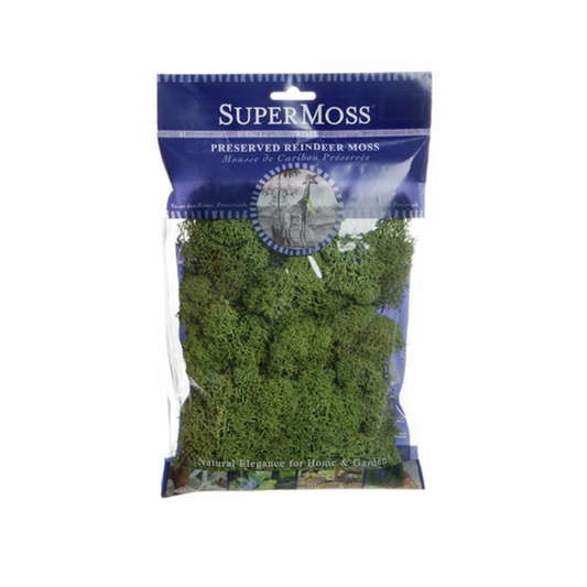 SUPERMOSS Reindeer Moss Preserved 55g Bag - Light Green