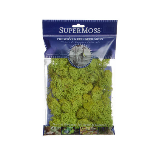 SUPERMOSS Reindeer Moss Preserved 55g Bag - Chartreuse