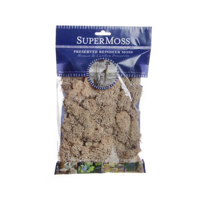 SUPERMOSS Reindeer Moss Preserved 55g Bag - Natural