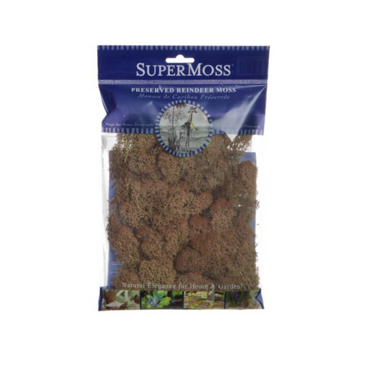 SUPERMOSS Reindeer Moss Preserved 55g Bag - Rust Brown