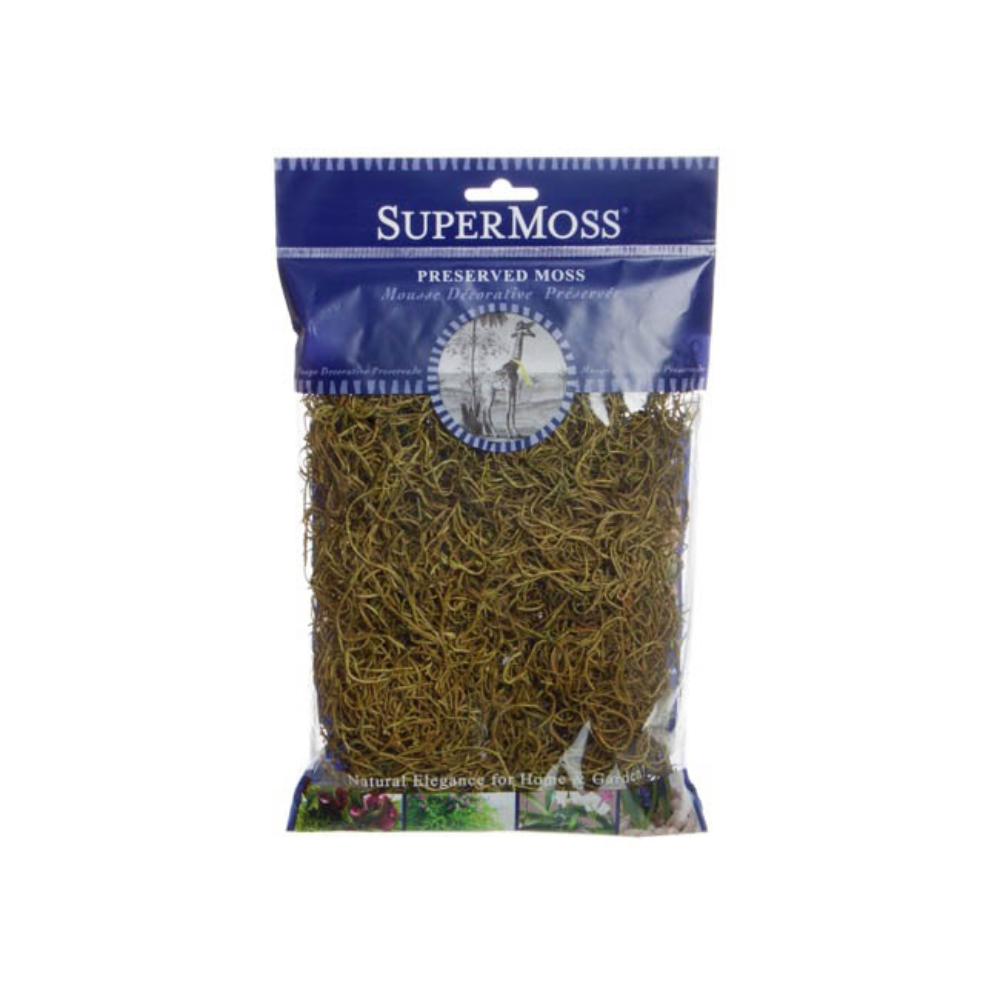 SUPERMOSS Spanish Moss Preserved 55g Bag - Basil Green