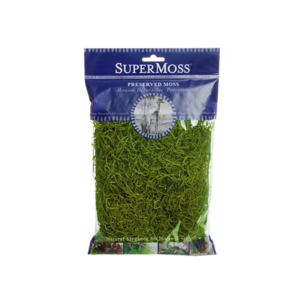 SUPERMOSS Spanish Moss Preserved 55g Bag - Grass Green