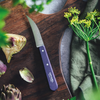 OPINEL N114 Les Essentiels Vegetable Knife