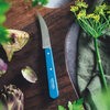 OPINEL N114 Les Essentiels Vegetable Knife