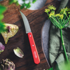 OPINEL N114 Les Essentiels Vegetable Knife