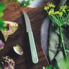 OPINEL N114 Les Essentiels Vegetable Knife