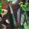 OPINEL N114 Les Essentiels Vegetable Knife