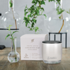 URBAN RITUELLE Alchemy Soy Candle 140gm - White Lotus