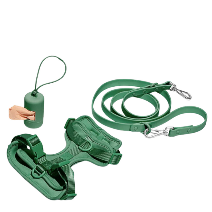 WILD ONE Dog Harness Walk Kit - Spruce