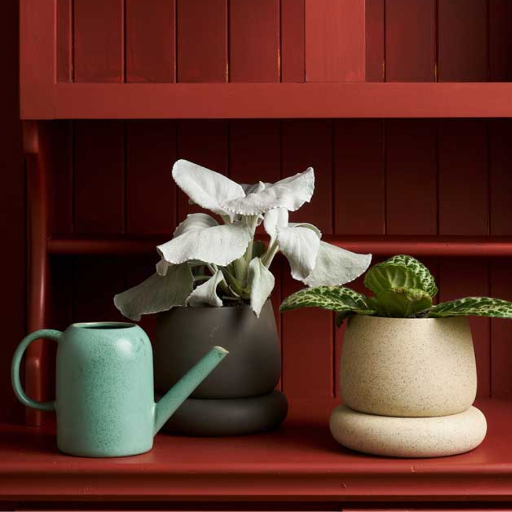 Load image into Gallery viewer, ROBERT GORDON Plant Parent Watering Can - Moss