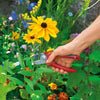 WOLF GARTEN Essentials Gift Pack