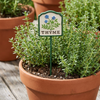 MARTHA'S VINEYARD Herb Garden Labels (Green & Cream)