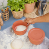 ZiiPa Spetina Dough Box 6pk