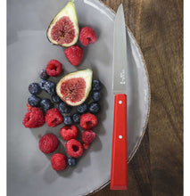 Load image into Gallery viewer, OPINEL N125 Table Knife S/S