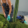 ANNABEL TRENDS Sprout Ladies' Gloves