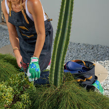 Load image into Gallery viewer, ANNABEL TRENDS Sprout Ladies&#39; Gloves