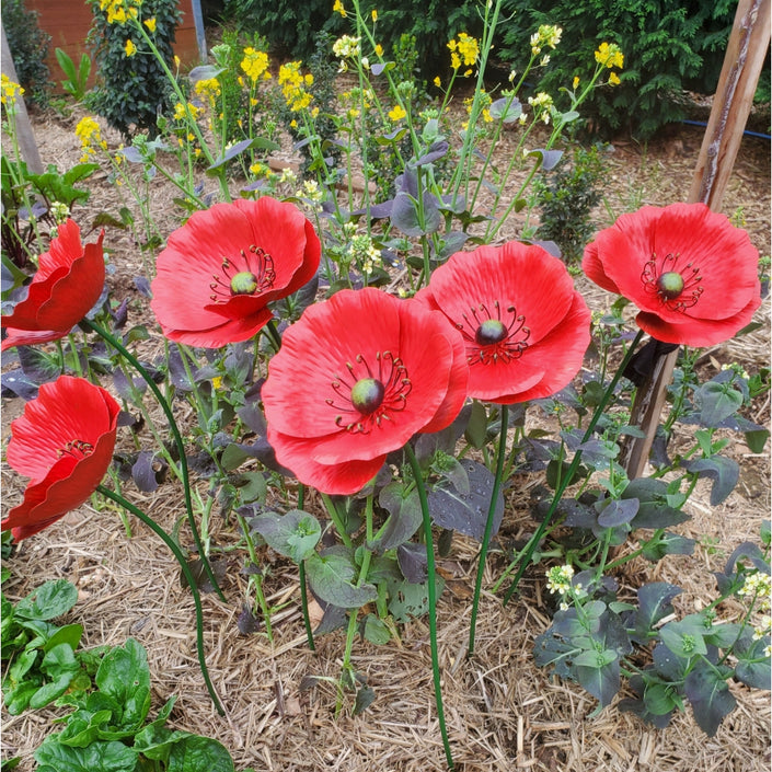 MARTHA'S VINEYARD Garden Stake Set 3 Poppies - Red