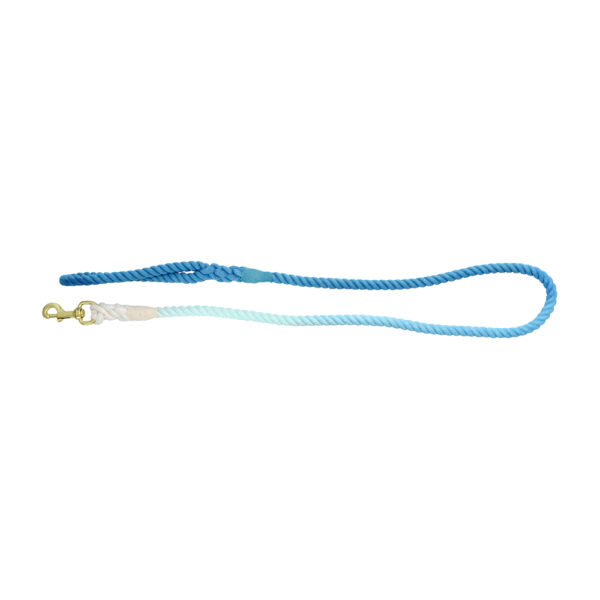 Load image into Gallery viewer, ANNABEL TRENDS Hot Dog Rope Lead - Blue Skies