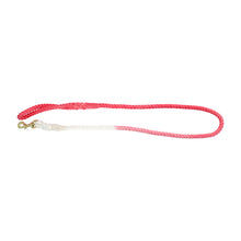 Load image into Gallery viewer, ANNABEL TRENDS Hot Dog Rope Lead - Peach Powder