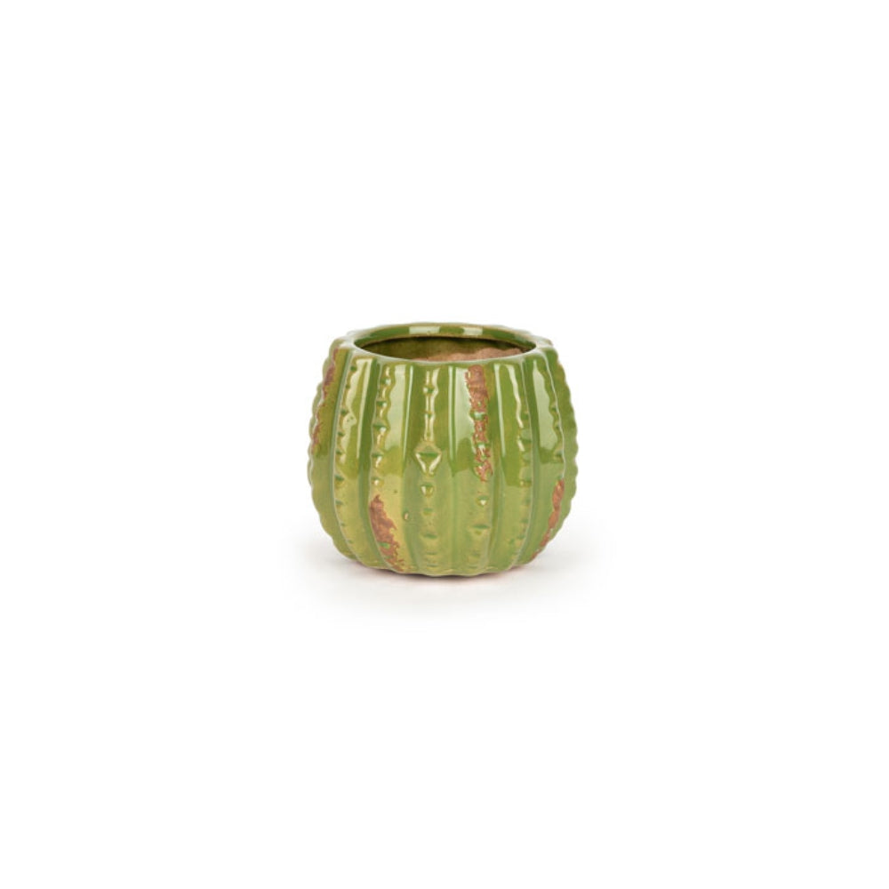 Load image into Gallery viewer, MARTHA&#39;S VINEYARD Cactus Planter - Small