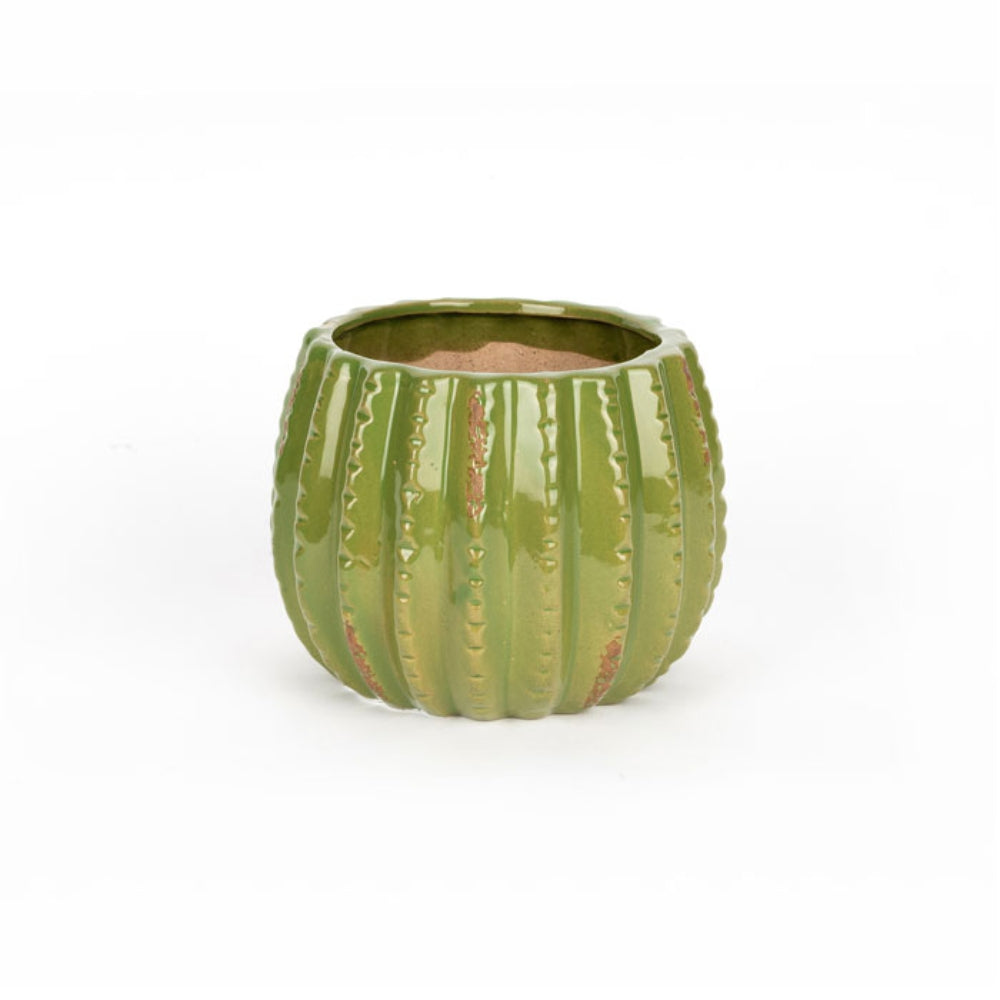 Load image into Gallery viewer, MARTHA&#39;S VINEYARD Cactus Planter - Large