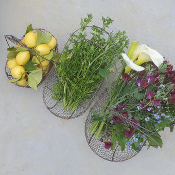 MARTHA'S VINEYARD Rounded French Style Wire Harvesting Basket Trug - Set of 3 Small, Medium, Large