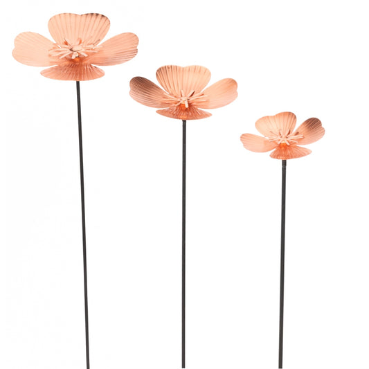 MARTHA'S VINEYARD Daises Set of 3 - Copper Finish