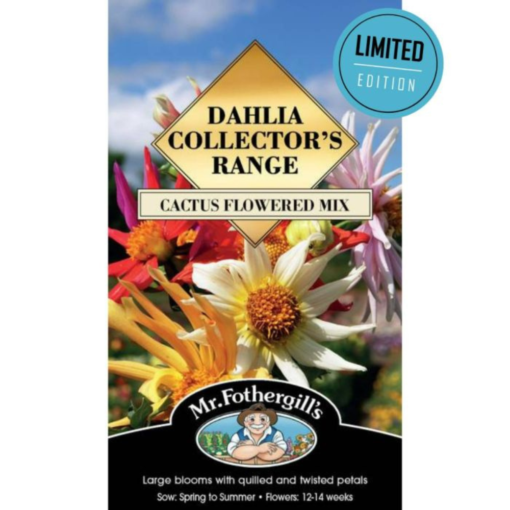 MR FOTHERGILLS Seeds Dahlia - Cactus Flowered Mix