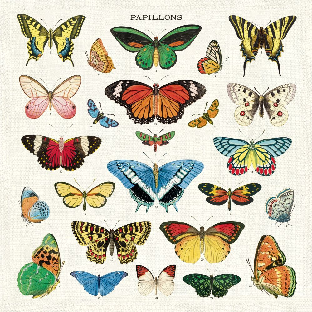 CAVALLINI & Co. 100% Natural Cotton Napkins Set of 4 - Butterflies