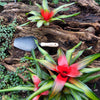 DEWIT Heavy Duty Potting Scoop