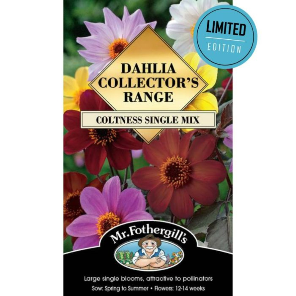 MR FOTHERGILLS Seeds Dahlia - Coltness Single Mix
