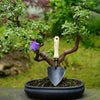 DEWIT Heart Shape Potting Trowel