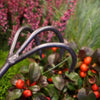 DEWIT Cultivator - 3 Tine - 140mm Ash Handle