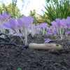 DEWIT Cultivator - 3 Tine - 140mm Ash Handle