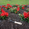 DEWIT Cultivator - 3 Tine - 140mm Ash Handle
